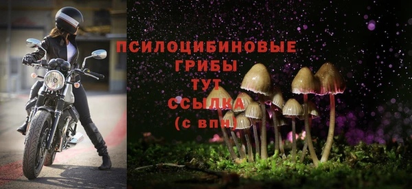 ALPHA-PVP Алзамай